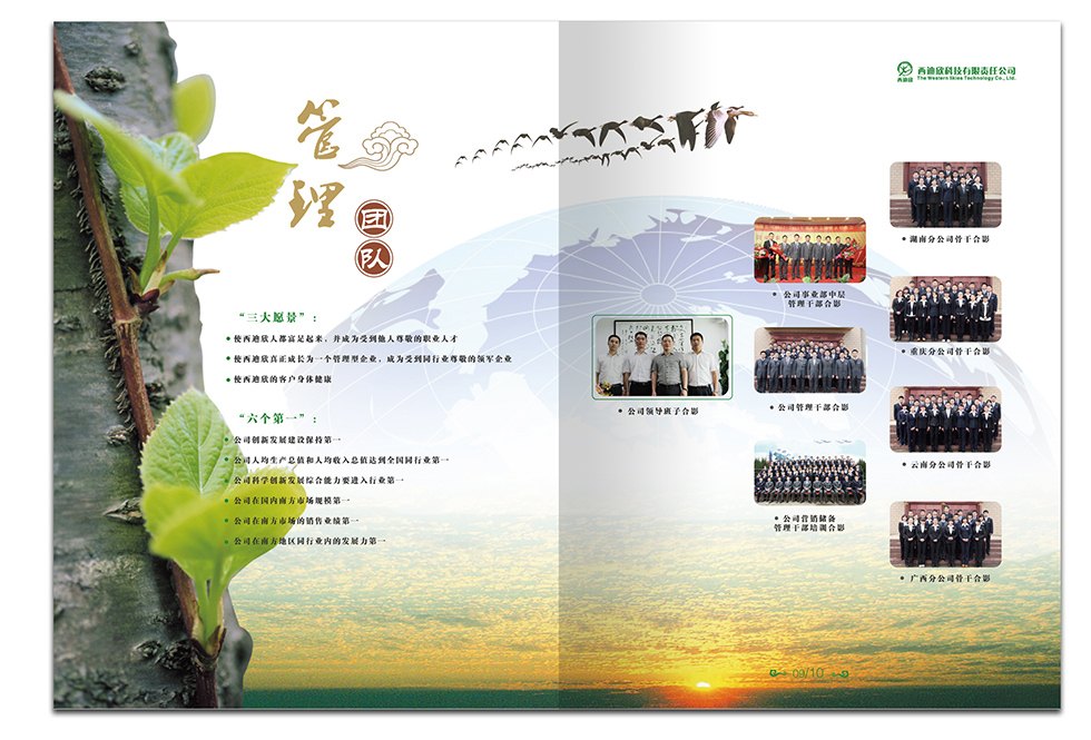 医药科技画册设计  公司团队