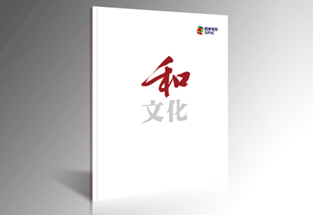 电网画册设计 和文化