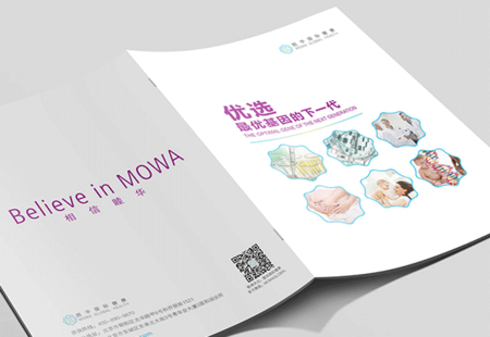 医学画册设计  优质